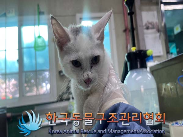 한국동물구조관리협회_411305202400616